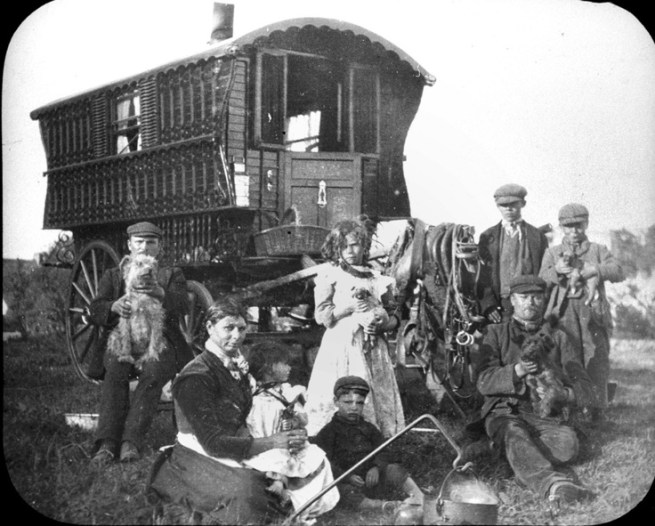 A family and its dogs.