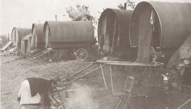 From Gypsies and Gentlemen by Nerissa Wilson.