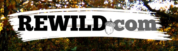 rewild