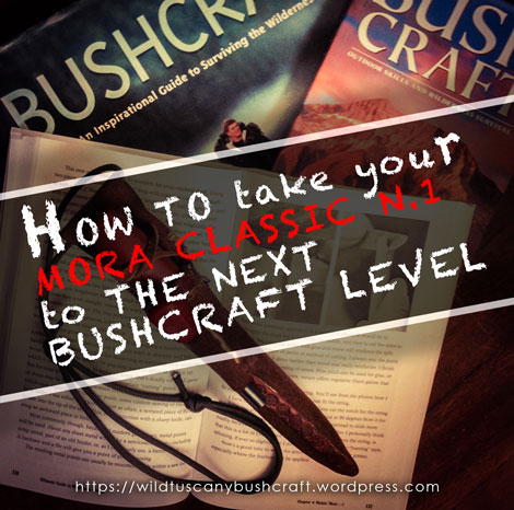 how_to_upgrade_mora_classic_1