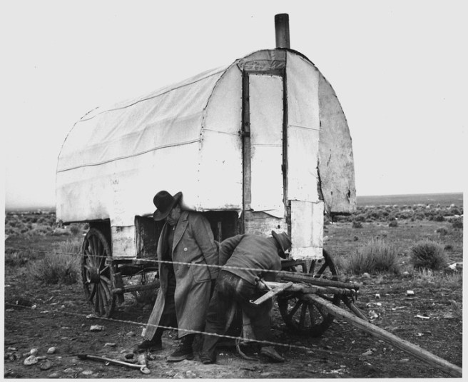 Greasing the axles of a sheep camp n Taos County, New Mexico ca. 1941.
