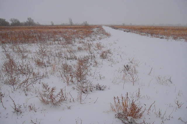 WintryPassageLlanoEstacado