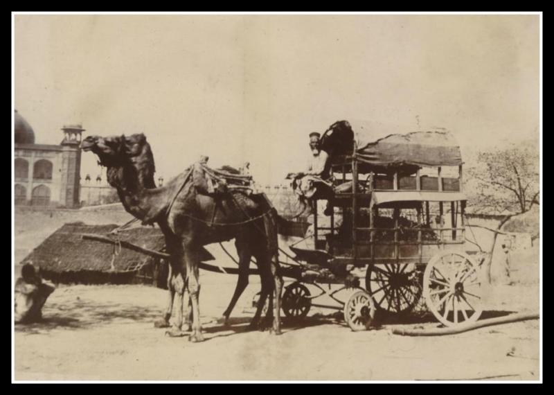 Another interesting photo find from the Voice of the Monkey.