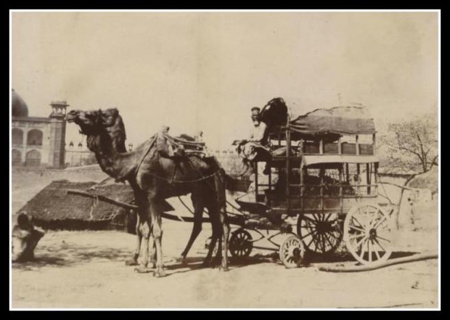 Another interesting photo find from the Voice of the Monkey.