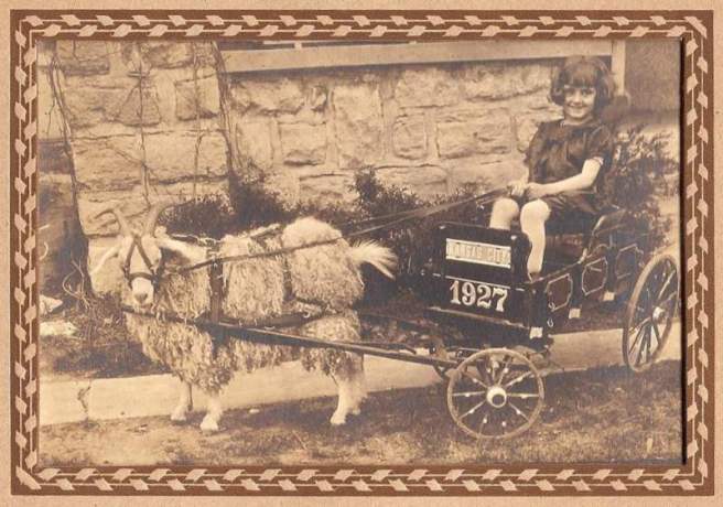 Found over at the Voice of the Monkey.